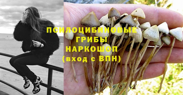 каннабис Алзамай