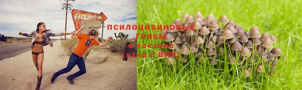 наркотики Алексин