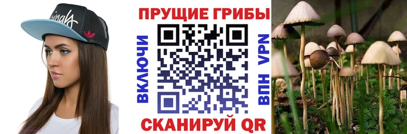 omg онион Полысаево Галлюциногенные грибы мицелий