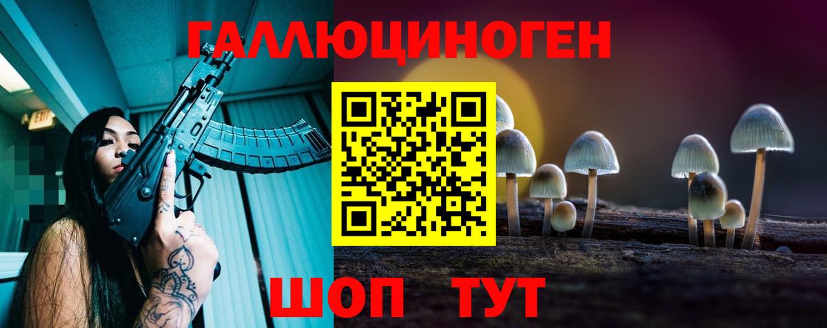 Псилоцибиновые грибы MAGIC MUSHROOMS  Вход с VPN  Полысаево 